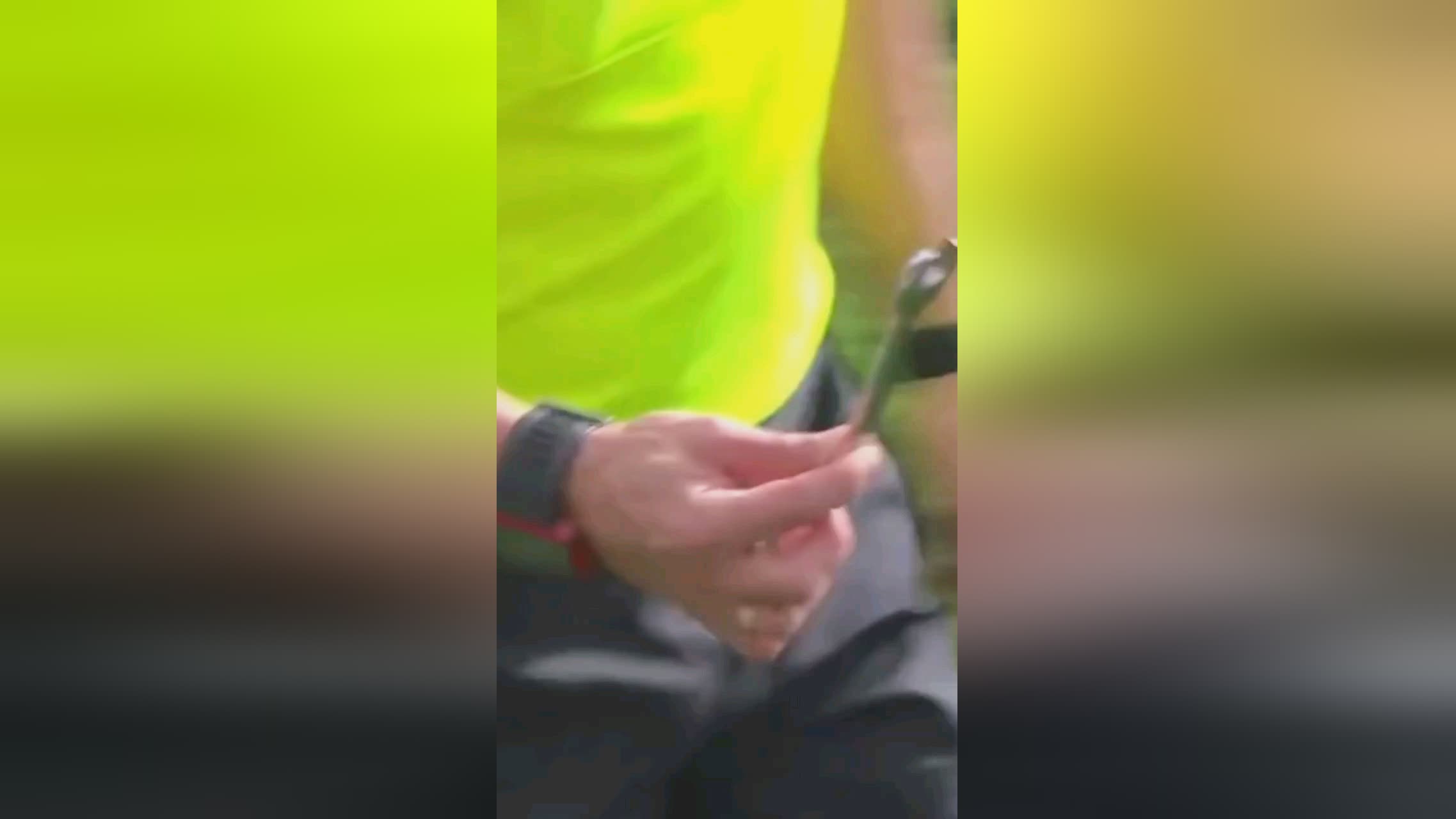 发展各类赛